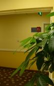 Туры в отель Homeinn Hotel (Beijing Tiantan Hospital)