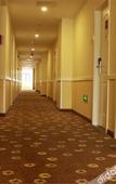 Туры в отель Rujia Pebble Hotel (Kaihua Genbo Park South Bus Station)