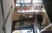 Туры в отель Elong Me Anlai Hotel (Zhangjiagang Jingang Central Plaza)