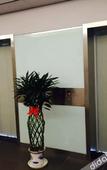 Туры в отель Homeinn Pebble Hotel (Kunshan Qianjin East Road International Convention and Exhibition Center)