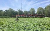 Туры в отель Oriental Zeng Hotel