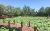 Туры в отель Oriental Zeng Hotel