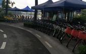 Туры в отель Lvcheng Lanwan Holiday Hotel