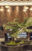 Туры в отель Xianju Perfect Designer Hotel (Shenxianju Bayberry Wuyue Square Branch)