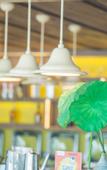 Туры в отель My Light Hostel