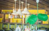 Туры в отель My Light Hostel
