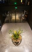 Туры в отель My Light Hostel