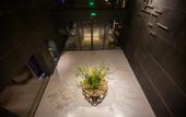 Туры в отель My Light Hostel