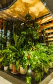 Туры в отель My Light Hostel