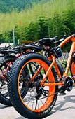 Туры в отель Xianbu Tingxia Villa