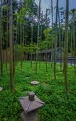 Туры в отель Jiangnanyi Manor