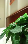 Туры в отель GreenTree Inn JiangSu Wuxi Jiangyin Gaoxin District Shishan Road Business Hotel