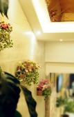 Туры в отель Dunhuang Baiyue Lizhi Hotel
