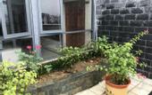 Туры в отель Superior Hotel (Shexian Ancient City)