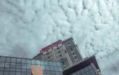 Туры в отель Platinum Celebrity Hotel