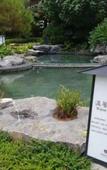 Туры в отель Baodun Lake Hushan Hot Spring Resort