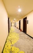 Туры в отель Yayue Hotel (Zhongmu Television Tower)
