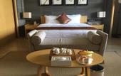 Туры в отель Phoenix City Hot Spring Resort
