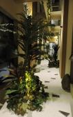Туры в отель Haiyatt City Hotel