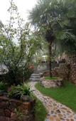 Туры в отель Morning Inn