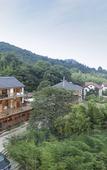 Туры в отель Morning Inn