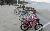 Туры в отель Lavenna Resort Judiaosha, Shenzhen