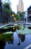 Туры в отель Hilton Huizhou Longmen Resort