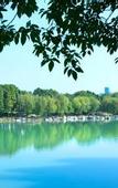 Туры в отель Jinji Lake Grand Hotel