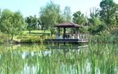 Туры в отель Jinji Lake Grand Hotel