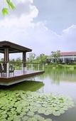 Туры в отель Jinji Lake Grand Hotel