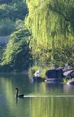 Туры в отель Jinji Lake Grand Hotel