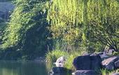 Туры в отель Jinji Lake Grand Hotel