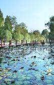 Туры в отель Jinji Lake Grand Hotel