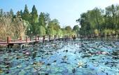 Туры в отель Jinji Lake Grand Hotel