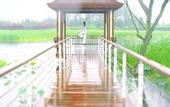 Туры в отель Jinji Lake Grand Hotel