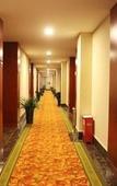 Туры в отель GreenTree Inn (Hefei Dashushan Metro Station)