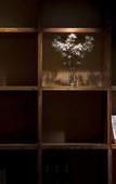 Туры в отель Zero Five One Seven Boutique Hotel (0517 Hotel)