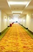 Туры в отель GreenTree Inn (Shenzhen Longhua Rainbow)