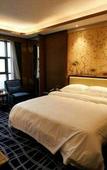 Туры в отель Yuhong International Hotel