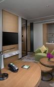 Туры в отель Holiday Inn Nanjing Harbour