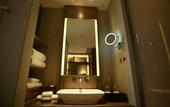 Туры в отель HUALUXE Wuxi Taihu
