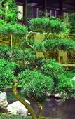 Туры в отель HUALUXE Wuxi Taihu