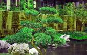 Туры в отель HUALUXE Wuxi Taihu