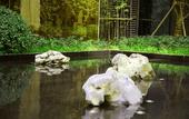 Туры в отель HUALUXE Wuxi Taihu