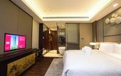 Туры в отель HUALUXE Wuxi Taihu