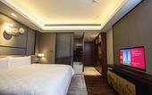 Туры в отель HUALUXE Wuxi Taihu