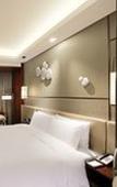 Туры в отель HUALUXE Wuxi Taihu