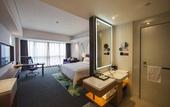 Туры в отель Hampton by Hilton Qingyuan Qingxin District
