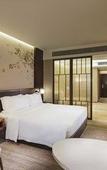 Туры в отель Hilton Garden Inn Shiyan