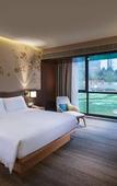 Туры в отель Hilton Garden Inn Shiyan